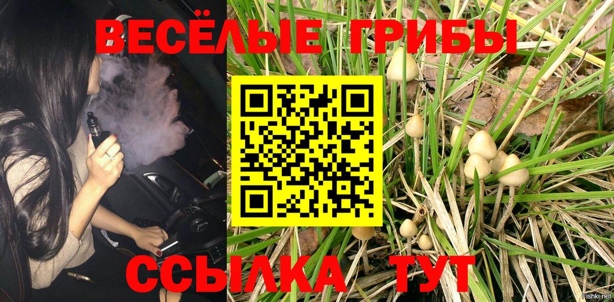 Электросталь  Галлюциногенные грибы Psilocybine cubensis  Вход с VPN 