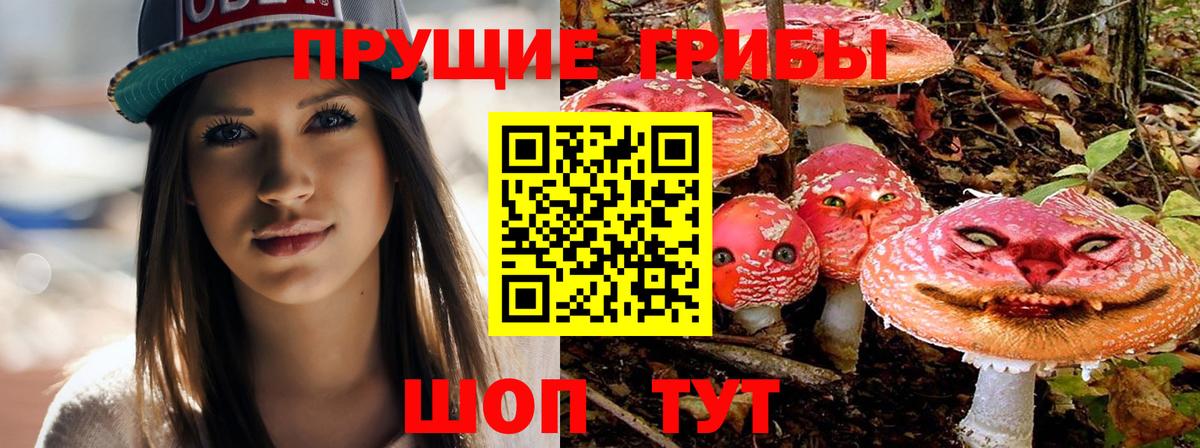 Псилоцибиновые грибы прущие грибы Электросталь